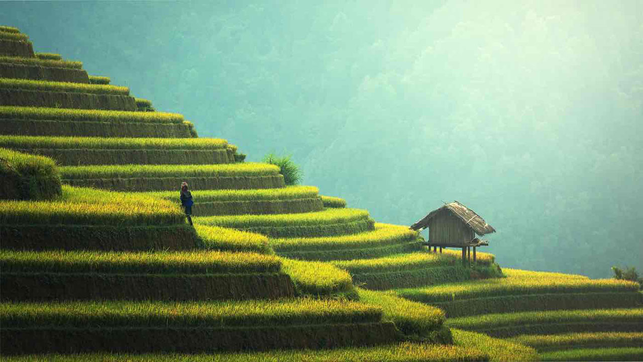 Vietnam Travel