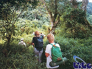 Cuc Phuong national park day tour