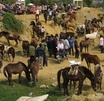 Vietnam travel activities